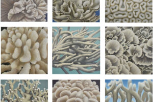 Zoophytes, 2026, acrylic on panel, 8 x 8 inches each